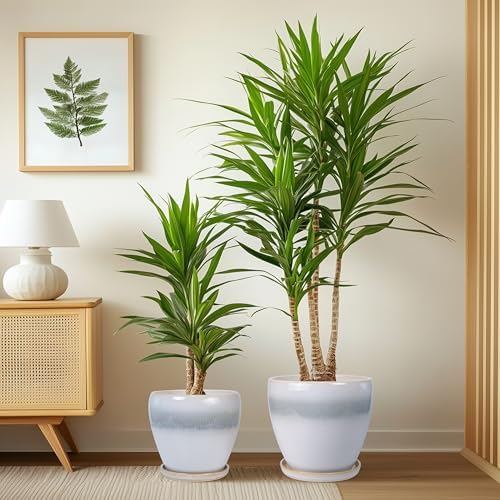 Ceramic Plant Pots - 10 Inch 8 Inch 6 Inch Planters, White-Grey - Image 4