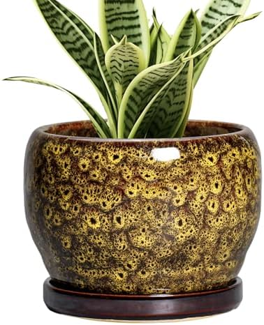 SQOWL 6 Inch Plant Pot - Ceramic Flower Pots with Drainage Hole and Saucer, Ceramic Planter for Indoor Plants Outdoor, Round Decorative Small Planter, Table Desk Decor, Housewarming Gifts, Yellow by SQOWL