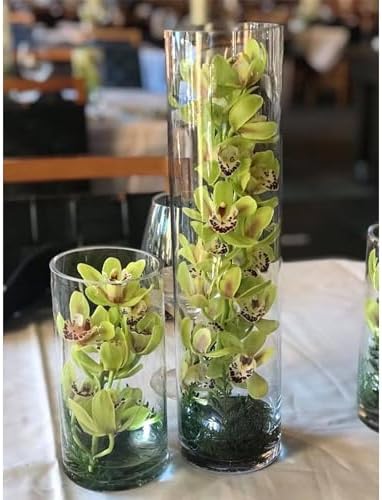 WGVI Quality Thick Clear Cylinder Glass Vase, 3" W x 5" H, Floral Container, Glass Candle Holder, Flower Vases, Wedding Centerpiece, Table Top Home Décor Accent, in Bulk Wholesale, 18 Pieces - Image 6