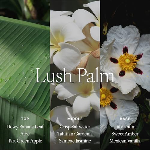 Antica Farmacista Reed Diffuser, Lush Palm, 16.9 fl oz - Image 4