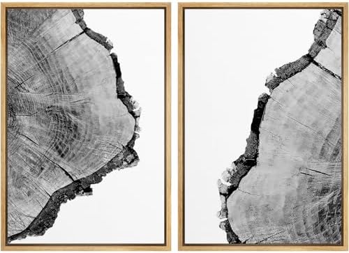SIGNWIN Framed Wall Art Print Set Black & White Close Up Tree Ring Details Nature Wilderness Photography Modern Art Rustic Relax/Calm Multicolor for Living Room, Bedroom, Office - 24"" x36 x2 Natural by SIGNWIN