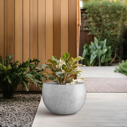 Kante Small Round Bowl Pale Gray Concrete Planter 11.8" Dia, Outdoor - Image 5