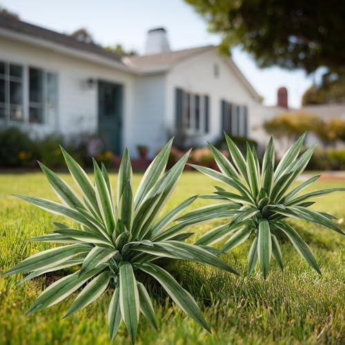 Artificial Agave Plant Fake Agave Planters for Indoor Outdoor Faux Agave Plants Real Touch Realistic Greenery for Home Living Room Office Bathroom Garden Front Porch Patio Decor (19inch-2 Pcs White) - Image 6