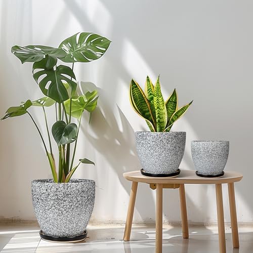 Ceramic Pots for Plants - 10+8+6 Inch Round Flower Pots with Drainage Holes and Saucers, Decorative Planters for Indoor Outdoor, Porch Decor, Housewarming Gifts, Set of 3, White-Black - Image 2