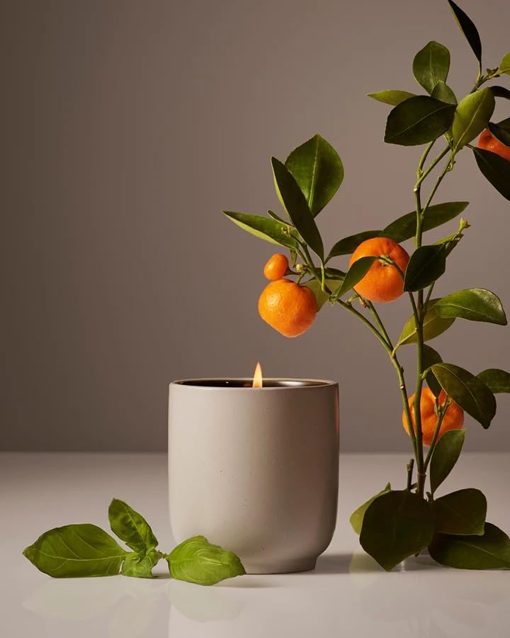 Homecourt by Courteney Cox Luxury Scented Candle, Mandarin Basile, 8 oz by Homecourt