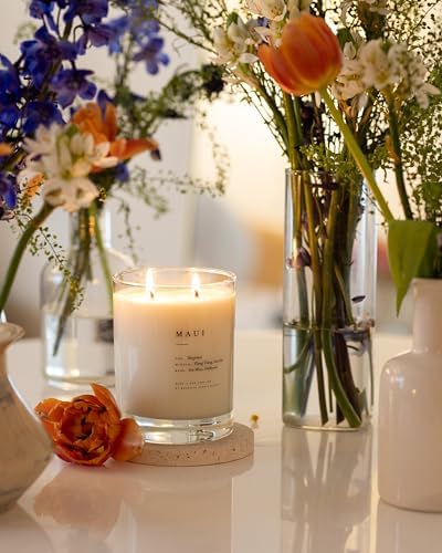 Brooklyn Candle Studio Maui Classic 2 Wick Candle - Luxury Scented Candle, Vegan Soy Wax, Hand Poured in The USA, 70 Hour Slow Burn Time - 13oz - Image 6