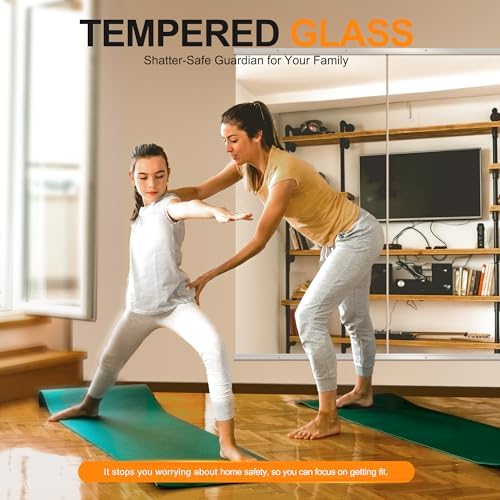 Delma Home Gym Mirror, 50''x25''x2PCS Silver Wall Mounted - Image 2