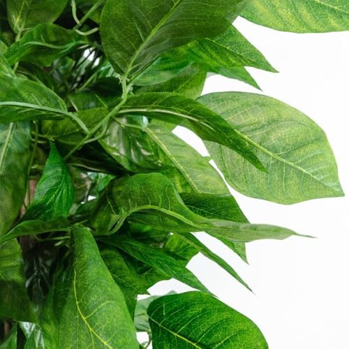 Blaine - Fake Mango Tree 3 FT Lifelike Faux Plant for Living Room Decor - Image 6