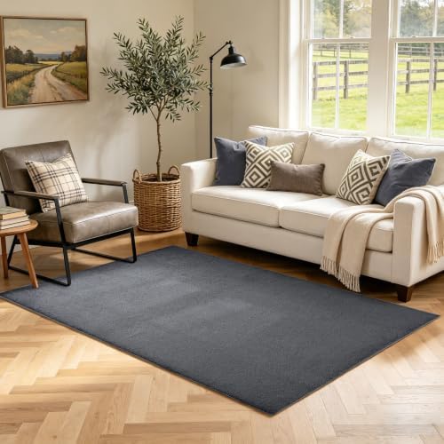 3x5 Dark Grey Solid Area Rug Washable Non-Slip Soft for Bedroom Kitchen by Unknown