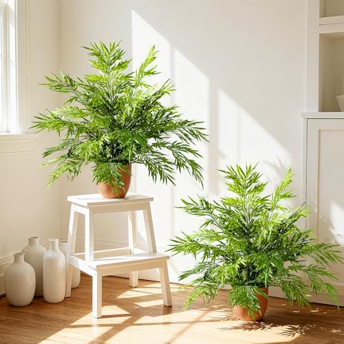 2 Pack Artificial Fern Plants in Pots Artificial Boston Ferns Potted Plants Faux Fern Bush Plant Shrubs Greenery for Outdoor Indoor Porch Patio Farmhouse Garden Living Room Office Table Decor (Type 3) by Yarmare