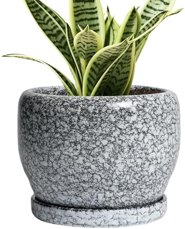 SQOWL Ceramic Pot for Plants - 6 Inch Ceramic Planter for Indoor Outdoor, Decorative Plant Pot with Drainage Hole and Saucer, Round Planter for Flower, Bedroom Decor, Garden Gifts, Black and White by SQOWL