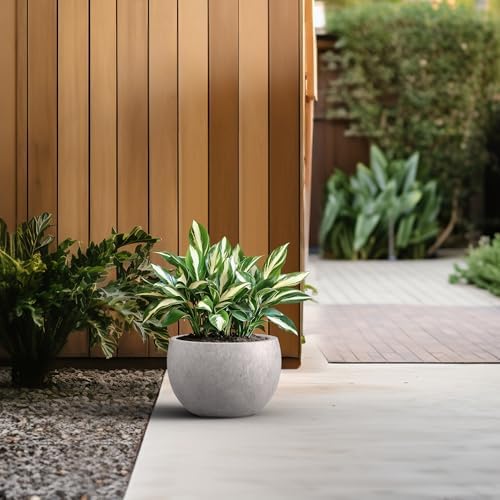 Kante Large Round Bowl CON Gray Concrete Planter 19.9" Dia, Outdoor - Image 5