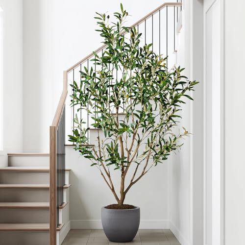 5FT Artificial Olive Tree with Realistic Leaves & Natural Trunk, Faux Silk Olive Plant in White Planter, Tall Fake Tree for Modern Home Office Living Room Entryway Corner Decor, Maintenance Free - Image 6