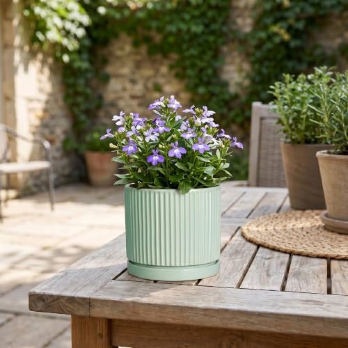 Ceramic Plant Pots, 4 Inch Pots for Plants with Tray, Mint Green - Image 7