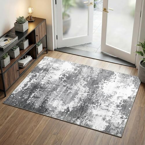 2x4 Washable Porch Rug Grey Welcome Door Mat Entrance 24x48, Small Runner Rugs for Kitchen Floor, Bath, Front Door, Bedroom Bedside, Non-Slip Low Pile Stain & Fade Resistant, Abstract Gray by Acapet