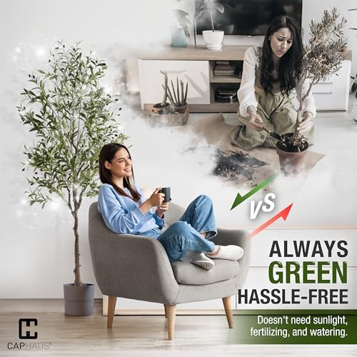 CAPHAUS 6FT Artificial Olive Tree Potted, UV Resistant Indoor Faux Plant - Realistic for Living Room, Office Decor, Housewarming Gift (72 Inch) - Image 5