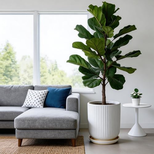 Deep Dream 12 Inch Ceramic Pots for Plants, Heavy Plant Pot for Indoor Outdoor Plants, Large Plant Pot with Drainage Hole and Saucer, Modern Tall Flower Pot, Gifts for Plant Lovers, White - Image 2