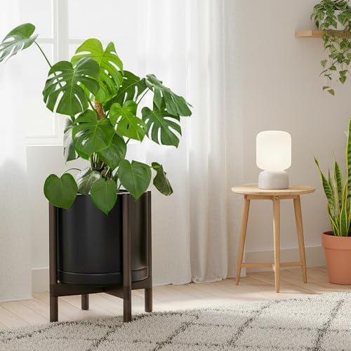 D'vine Dev Ceramic Pot with Walnut Wood Stand, Black, 14 in, 55-B-T-2 - Image 6