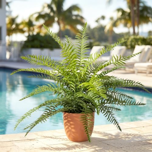 2 Pack Artificial Fern Plants in Pots, Type 8 - Image 7