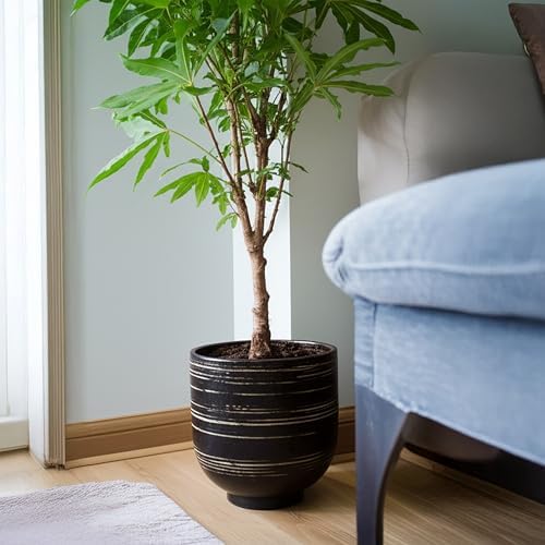 HERDUK Large Black Ceramic Planter for Indoor Trees, Modern Indoor Floor Planter Pot for Olive Trees & Faux Olive Trees, Pottery Planter with Drainage for Real Plants - Image 6