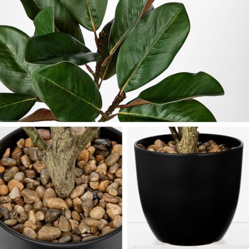 Briful 23.6 in Artificial Magnolia Plant with Dual-Tone Leaves in Black Pot - Image 3