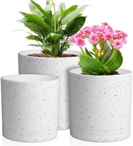 Meowell 6/5/4 inch Plant Pots, 3 Pack Cylinder Flower Pots for Small Indoor Outdoor Plants, Plastic Planters with Drainage Holes and Saucers for Garden Succulent House Plants, Speckled White by Meowell