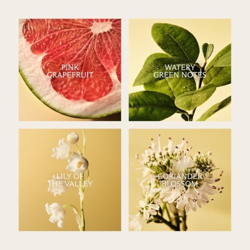 NEST New York Scented Decorative Reed Diffuser, Grapefruit - 5.9 fl oz - Image 3