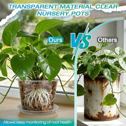 8 Inch Clear Nursery Pots with Drainage and Sacuers, 8 Pack Plastic Pots for Plants Indoor Outdoor, Large Clear Pots for Flowers, Succulents (8inx8pcs) - Image 4