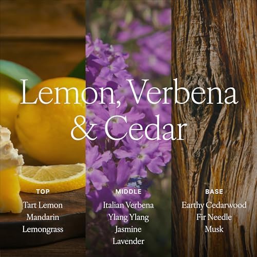 Antica Farmacista Reed Diffuser, Lemon, Verbena & Cedar, 3.4 fl oz - Image 4