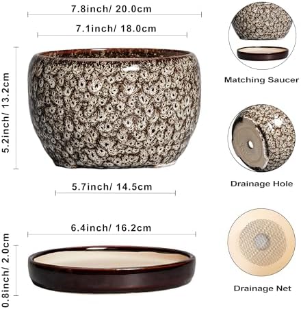 SQOWL Ceramic Planter - 8 inch Plant Pot Indoor with Drainage Hole and Plant Saucer, Round Ceramic Flower Pots Outdoor, Decorative Modern Planter, Office Kitchen Decor, Gifts for Women Men, White - Image 3