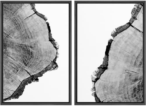SIGNWIN Framed Wall Art Print Set Black & White Close Up Tree Ring Details Nature Wilderness Photography Modern Art Multicolor for Living Room, Bedroom, Office - 24"" x36 x2 Black by SIGNWIN