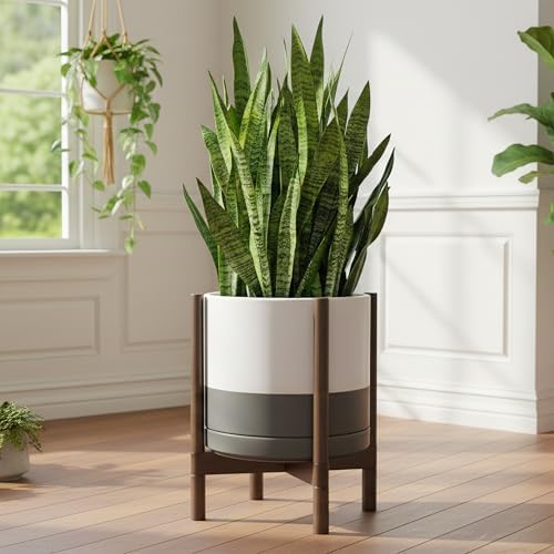 D'vine Dev Ceramic Pot with Walnut Wood Stand, White/Grey, 14 in, 55-B-T-6 - Image 2