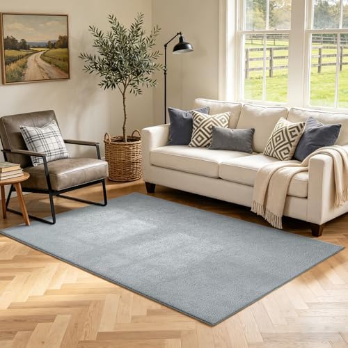 3x5 Light Grey Solid Area Rug Washable Non-Slip Soft for Bedroom Kitchen by Unknown