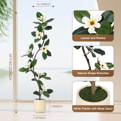 5FT Tall Lifelike Artificial Magnolia Tree with 7 Pcs Magnolia Flowers in White Planter Pot, Rubber Tree Faux Plants Indoor Artificial Plants & Flowers for Home Office Living Room Decor - Image 2