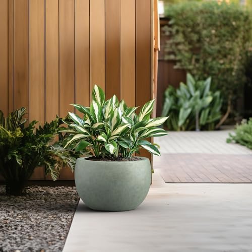 Kante Accent Round Bowl Mint Green Concrete Planter 15.7" Dia, Outdoor - Image 4