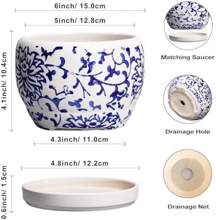 SQOWL 6 Inch Planter - Ceramic Plant Pots Indoor with Drainage Hole and Saucer, Round Ceramic Flower Pot Outdoor, Porcelain Decorative Planter, Backyard Decor, Gifts for Plant Lovers, Blue and White - Image 3