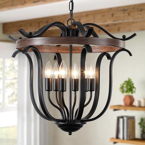 20" Black Farmhouse Chandelier for Dining Room 6 Light Cage Light Fixture by Yidelloc