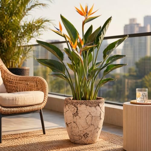 11" H x 10" Dia Fiberstone Planter Pot with Drainage Hole, Handcrafted Distressed Decorative Flower Pot for Indoor Outdoor Plants, Rustic Earthy Brown Boho Planter for Patio, Garden & Home - Image 7