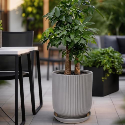 Deep Dream 12 Inch Ceramic Pots for Plants, Heavy Plant Pot for Indoor Outdoor Plants, Large Plant Pot with Drainage Hole and Saucer, Modern Tall Flower Pot, Gifts for Plant Lovers, Grey - Image 4