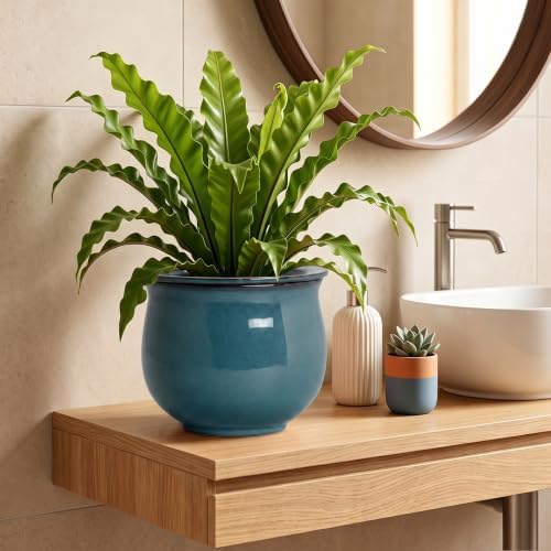 8 Inch Ceramic Self Watering Plant Pots, Ceramic Planter, Retro Blue - Image 6