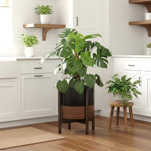 D'vine Dev Ceramic Pot with Walnut Wood Stand, Black/Tan, 12 in, 55-B-W-7 - Image 2