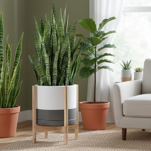 D'vine Dev Ceramic Pot with Natural Wood Stand, White/Grey, 14 in, 55-B-R-6 - Image 2