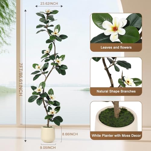 7FT Tall Lifelike Artificial Magnolia Tree with 8 Pcs Magnolia Flowers in White Planter Pot, Rubber Tree Faux Plants Indoor Artificial Plants & Flowers for Home Office Living Room Decor - Image 2
