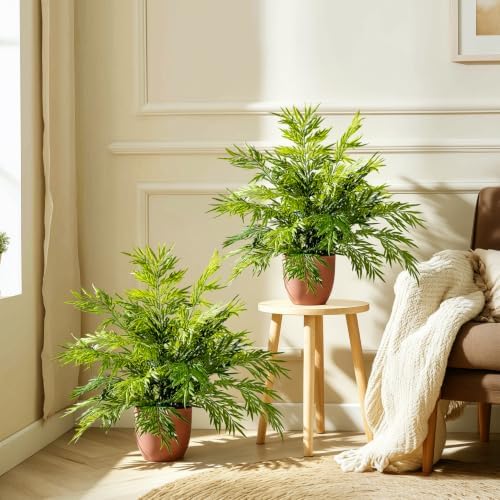 2 Pack Artificial Fern Plants in Pots Artificial Boston Ferns Potted Plants Faux Fern Bush Plant Shrubs Greenery for Outdoor Indoor Porch Patio Farmhouse Garden Living Room Office Table Decor (Type 3) - Image 2