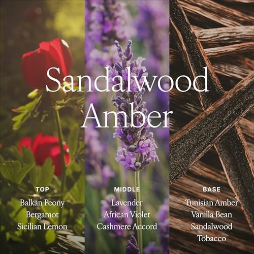 Antica Farmacista Reed Diffuser, Sandalwood Amber, 16.9 fl oz - Image 4