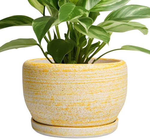 SQOWL Ceramic Flower Pots - 8 inch Plant Pot Indoor with Drainage Hole and Saucer, Modern Ceramic Planter Outdoor, Round Decorative Planter, Living Room Home Decor, Gifts for Plant Lovers, Yellow by SQOWL
