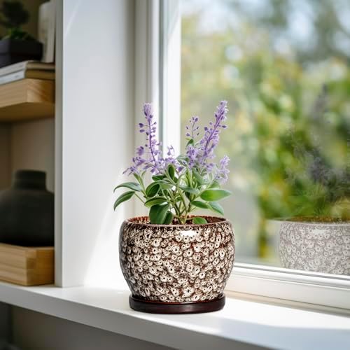 SQOWL Ceramic Plant Pots - 6 Inch Ceramic Planter for Indoor Outdoor, Small Flower Pots with Drainage Hole and Saucer, Decorative Round Planter, Home Office Decor, Plant Lover Gifts, White - Image 2
