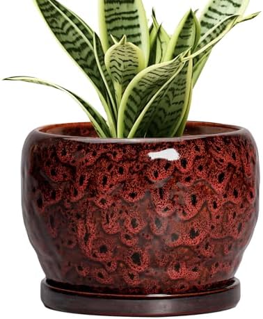 SQOWL Ceramic Pot for Plants - 6 Inch Plant Pot Indoor with Drainage Hole and Saucer, Decorative Flower Pot Outdoor, Round Succulent Planter, Front Porch Decor, House Warming Gifts New Home, Red by SQOWL