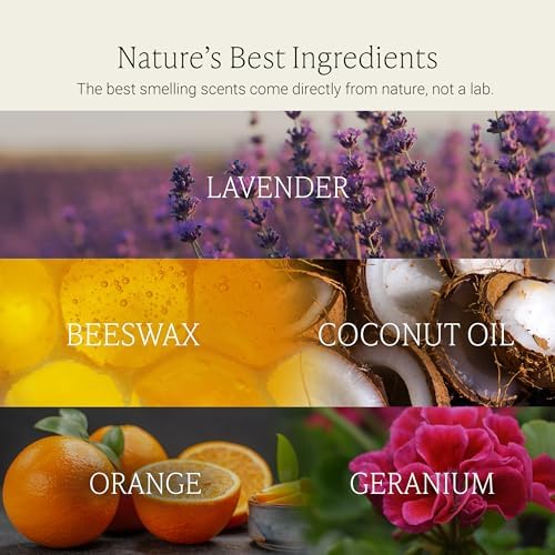 Fontana Candle Co Wood Wick Beeswax Candle, Wildflower Citrus - Image 4