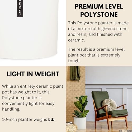 Fox & Fern Large Planter for Indoor or Outdoor, White Matte, 10 Inch - Image 4